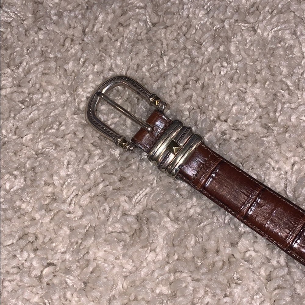 Brighton Belt (brown)